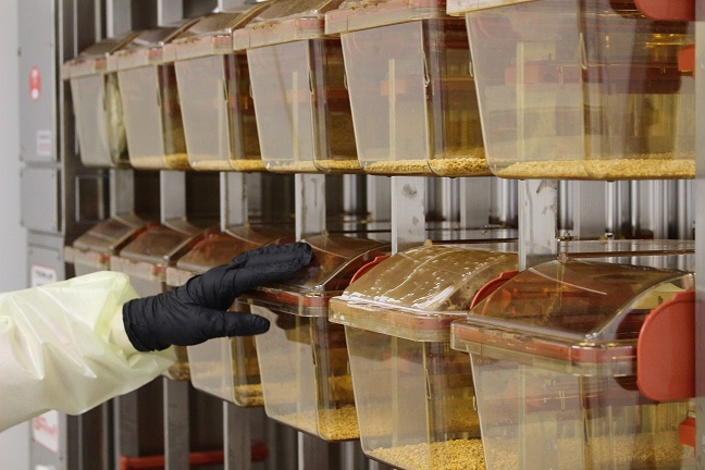 gloved hand in biological resource facility