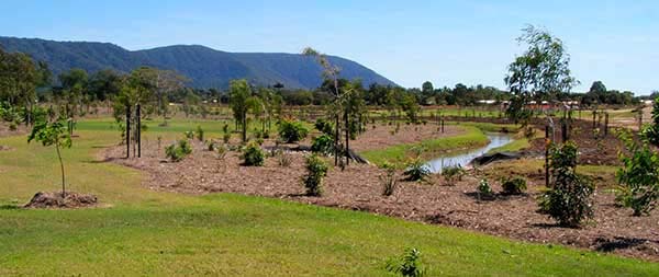 Moore's gully.