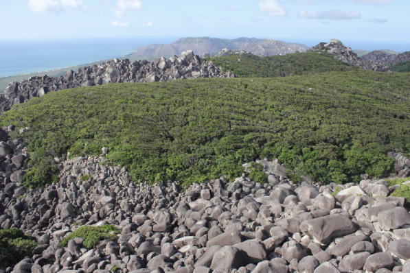 A rainforest plateau surrounded by giant boulders