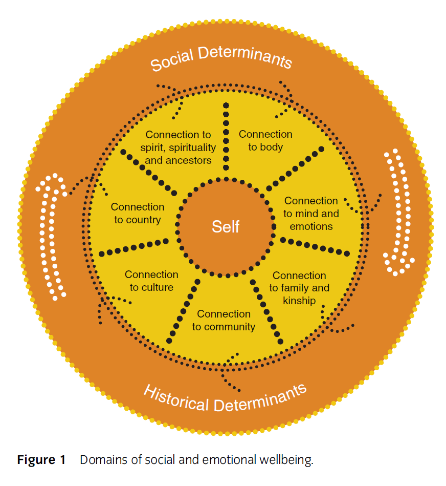 Social and Emotional Wellbeing Framework