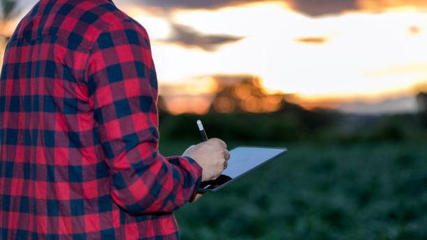 Farmer with a blue and red check shirt holds a tablet while looking out over a farm. 