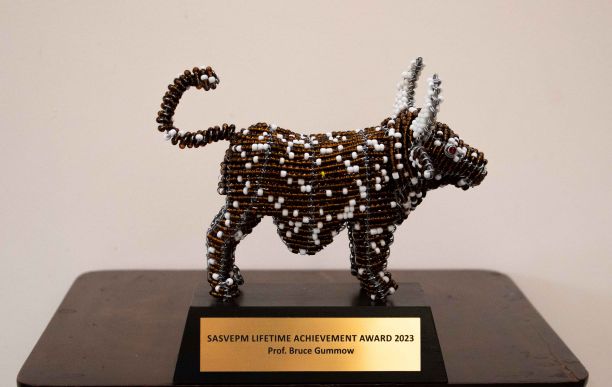 Bruce's Lifetime Achievement Award. It is a small sculpture handcrafted from wire and African beads. 