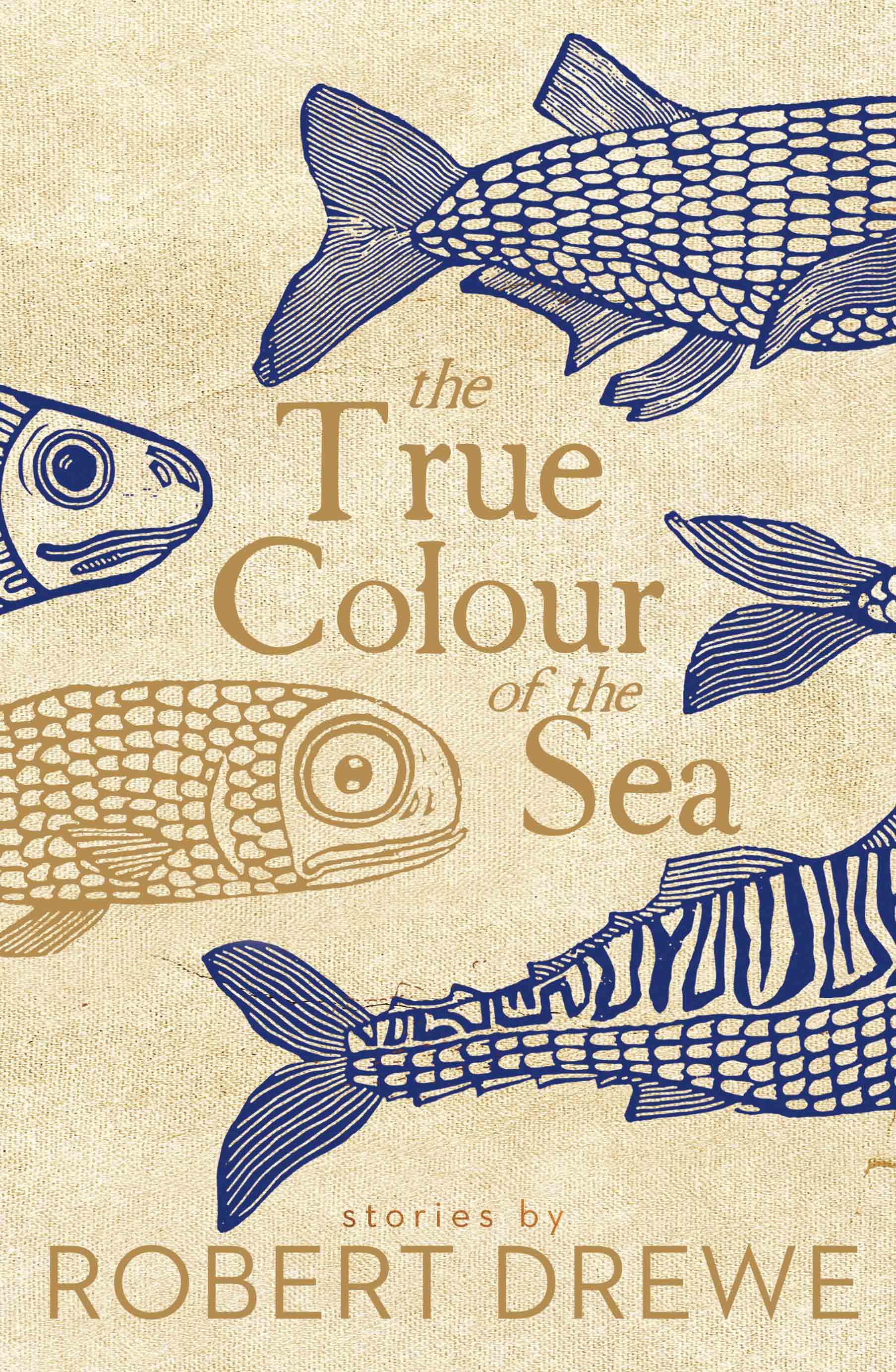 True colour of the sea