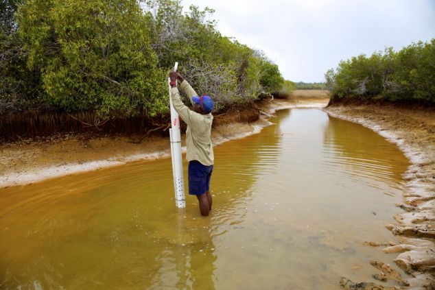 A Torres Strait Regional Authority Ranger sets a measuring gauge