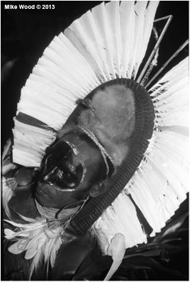PNG traditional headdress. 