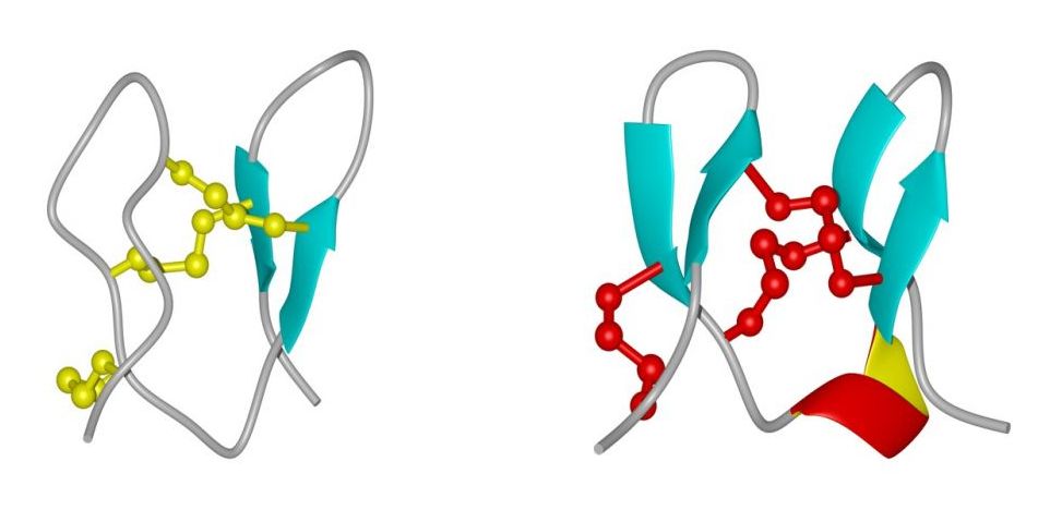 Peptide structure Peptide structure