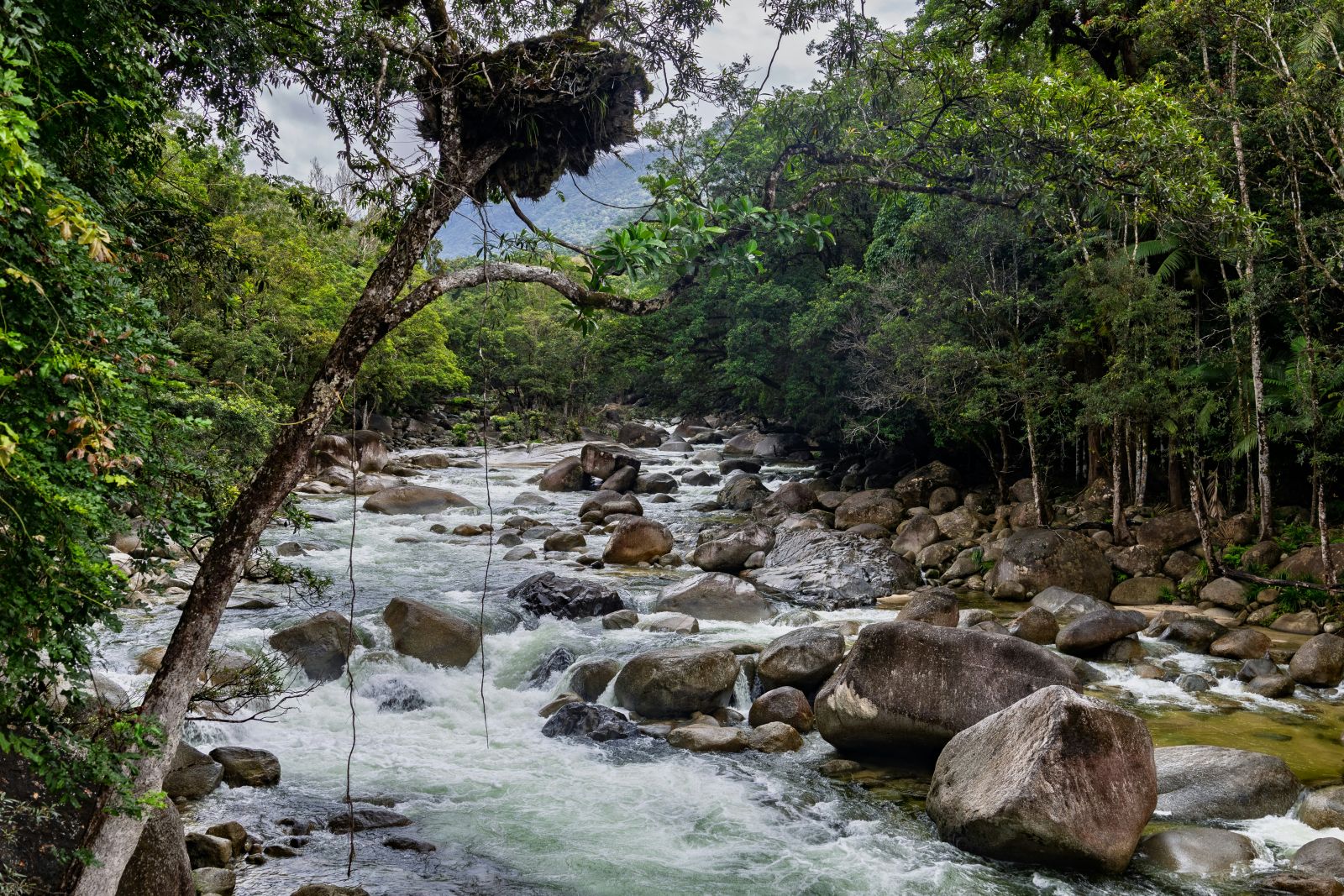River