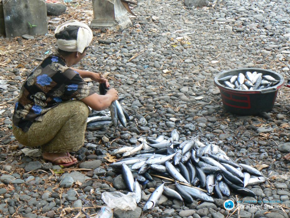 Fishing Indonesia