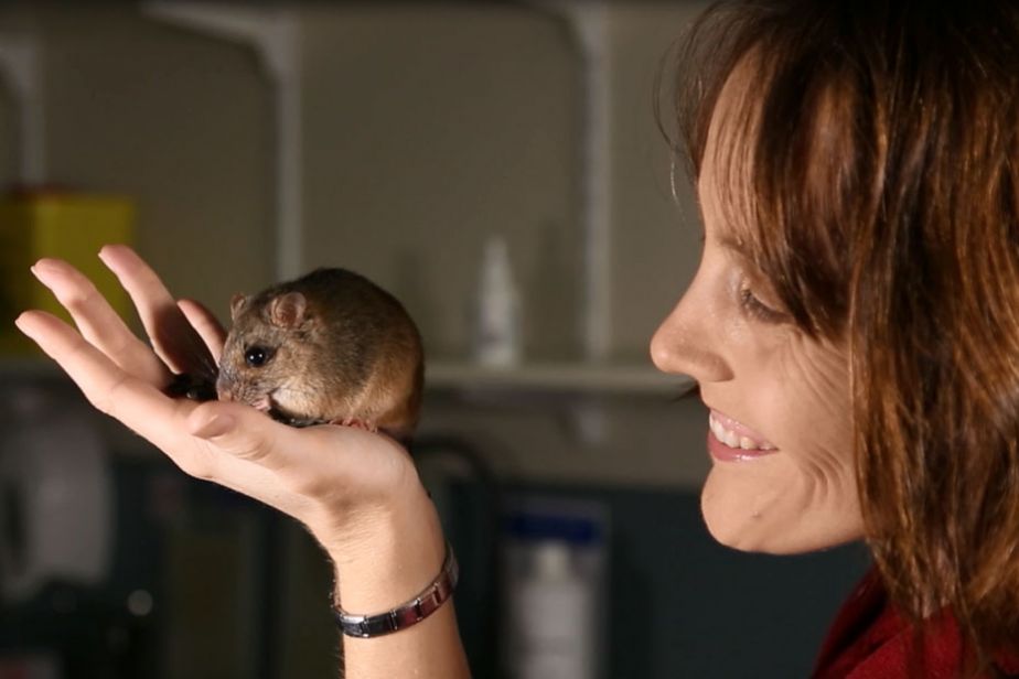 A woman with brown hair holds a rat to eye level and looks across at it