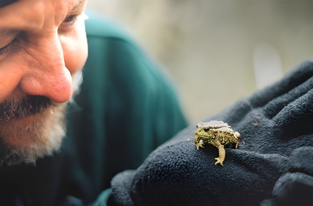 Rick Speare holding a frog. 