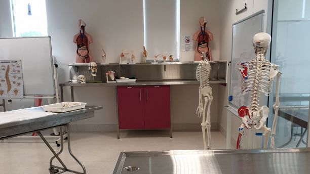 A classroom with metal benches. Models of human anatomy are on shelves around the walls and a skeleton is on a bench in the foreground. 