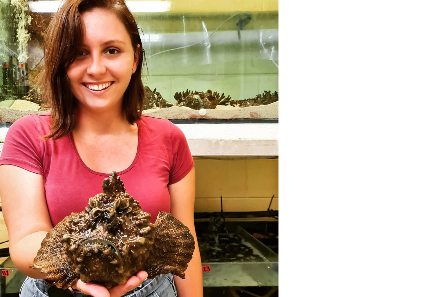 Researcher with stonefish