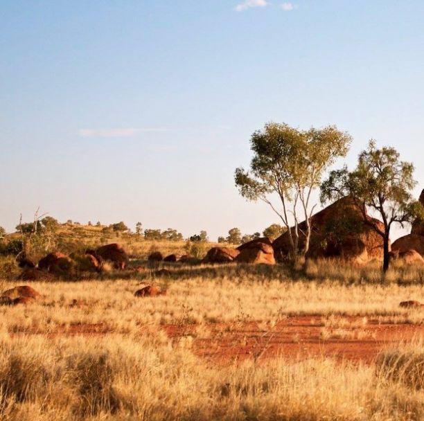 Northern Territory Landscape