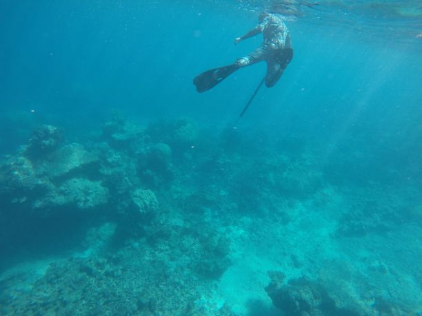 Diver on reef