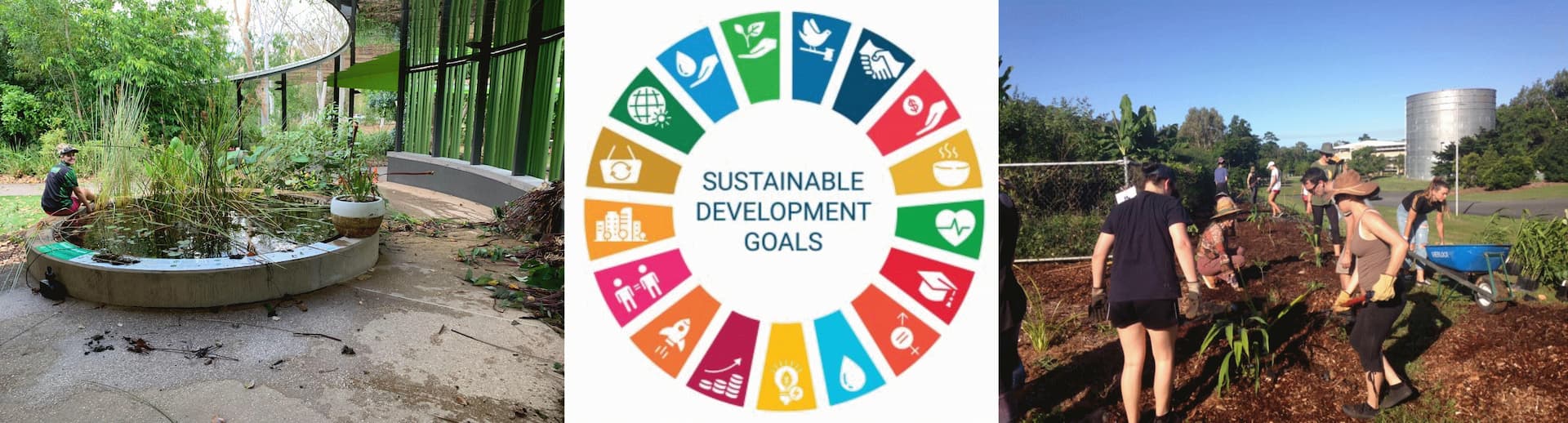 sustainable development goals banner. 
