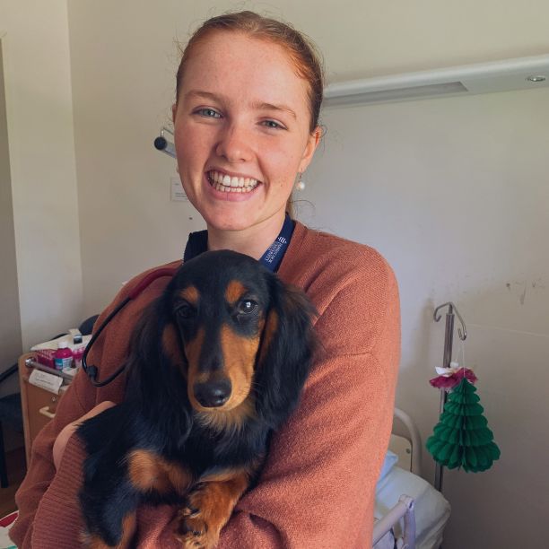 Young woman holding daschund in hospital room