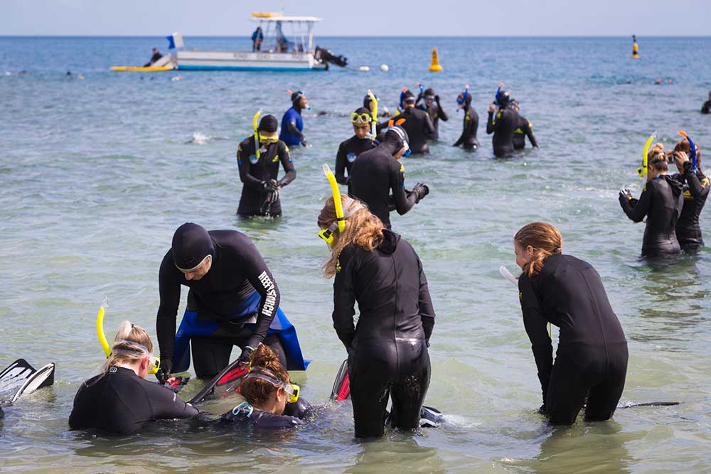 Students and teachers preparing for a snorkeling trip image Experience life on a research station