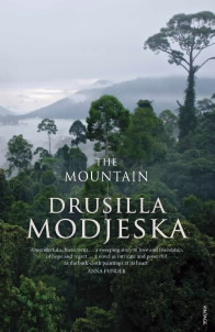 Cover of "The mountain" by  Drusilla Modjeska