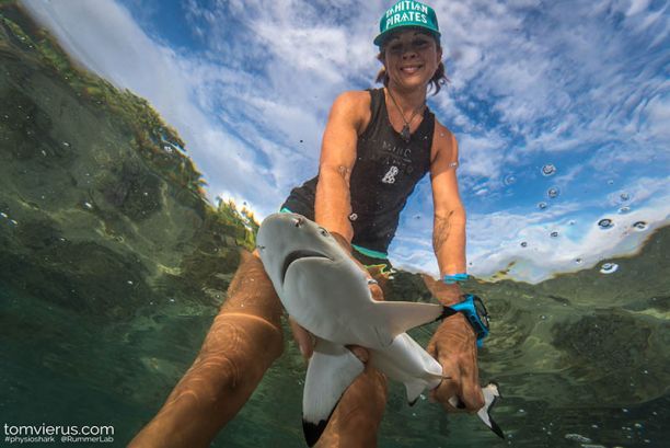 Dr Jodie Rummer releases a baby shark
