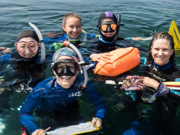 Katie and some of the other scientists in the water, ready to begin diving and collecting data. 