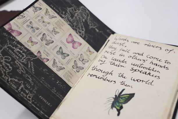 The first page and cover of a zine with butterflies and artistic writing. 