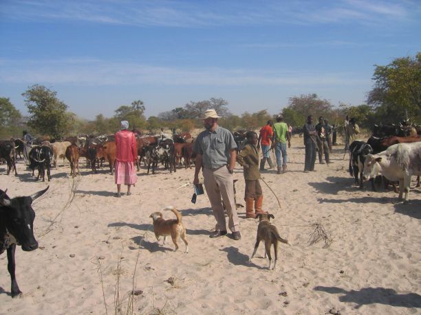 Bruce stands on sand in the centre of the image, surrounded by people, cattle and dogs. 