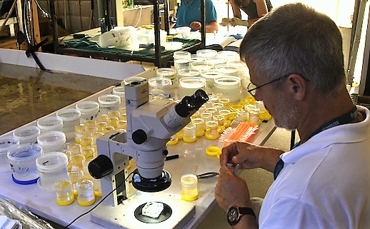 Eduquarium - Jamie Seymour with samples