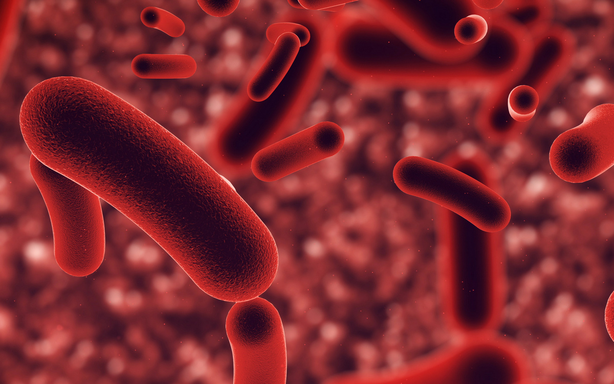 Blood cells