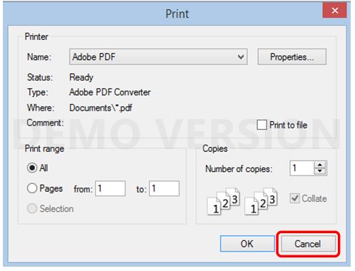 Screenshot showing Print Options Box