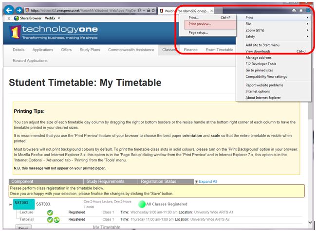 Screenshot showing Internet Explorer Print Preview
