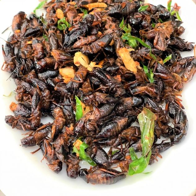 Cooked crickets and vegetables on a white plate. 