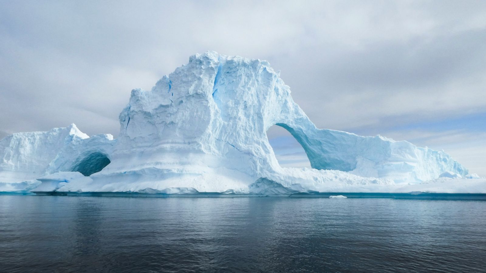 Antarctic