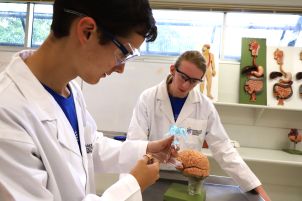 students in lab image