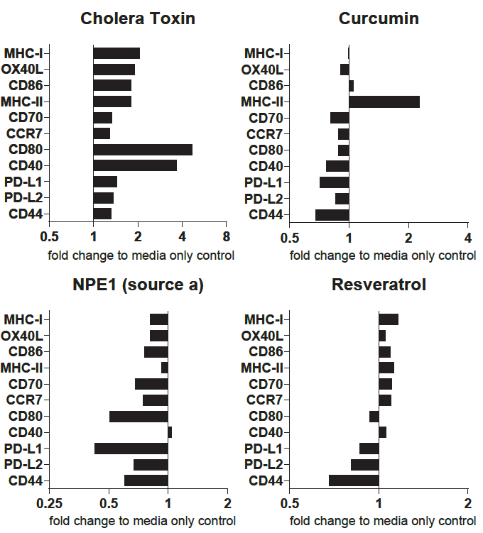 Graphs showing prototypical results showing different types of activity profiles of dendritic cells.