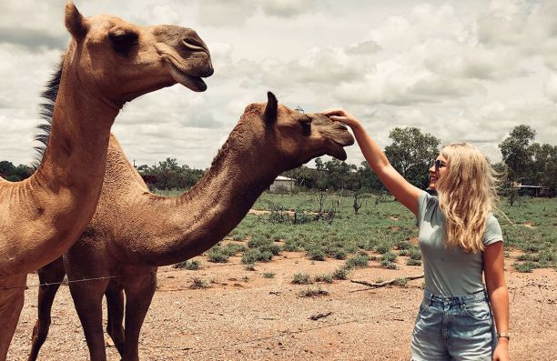 Elise visits camels while in Mount Isa. 