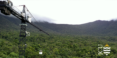 Daintree Rainforest Observatory