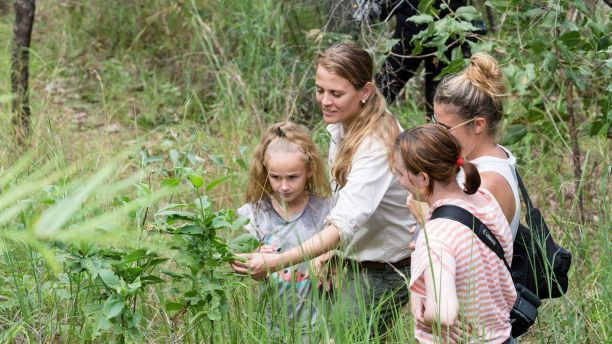 JCU Alumni Shakira Todd showing a native plant to three other people out in the bushland. 