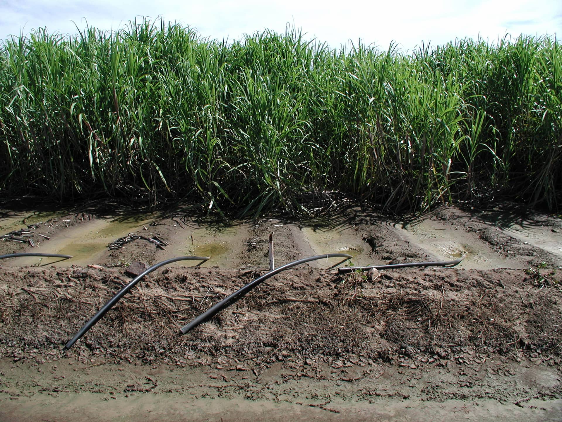 Furrow irrigation system 