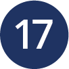 circle icon for SDG 17