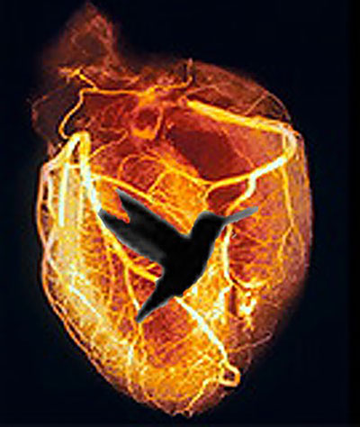 image of a heart and a dove