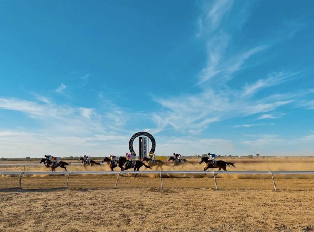 horses racing at outback racetrack