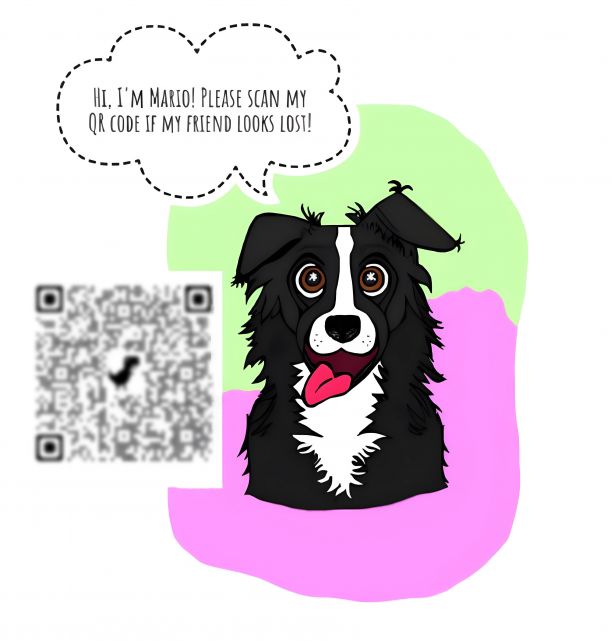 JCU Student Rosanna Karmichael's prototype for 'Mario and friends.' It features a cartoon image of a black and white border collie with it's tongue poking out, centered on a half pink, half green background. 