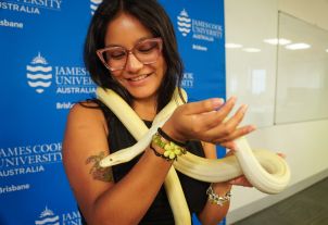Social Picnic and Wildlife Experience image