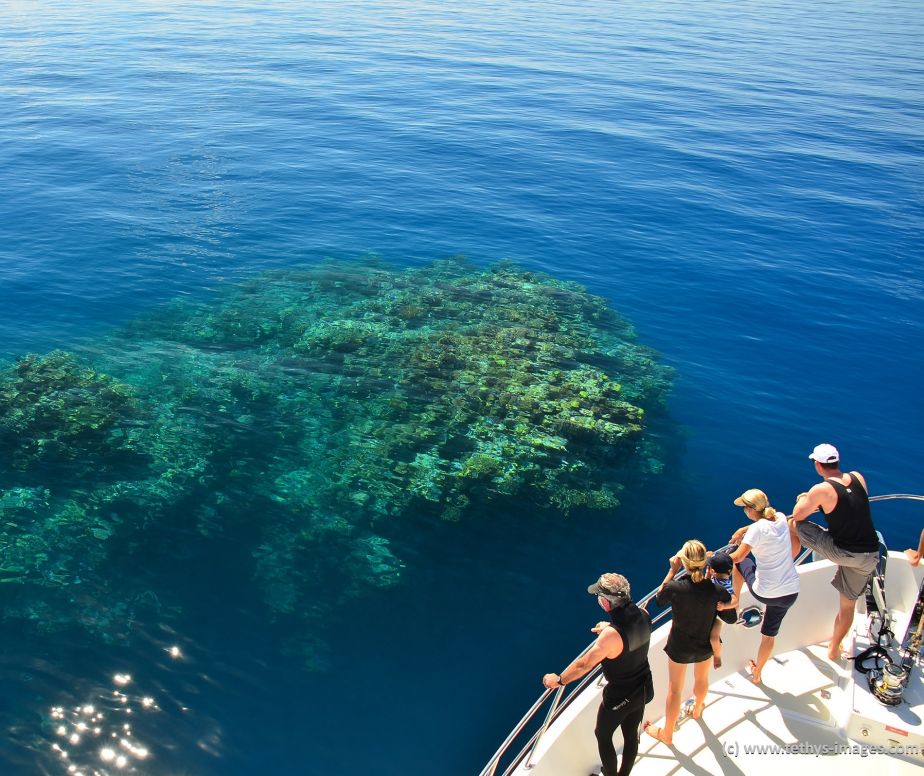 Tourists at the reef