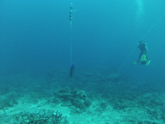  divers deploying a microphone. 