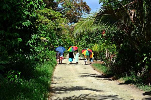 Five people holding rainbow umbrellas and walking along a path surrounded by green rainforest. 