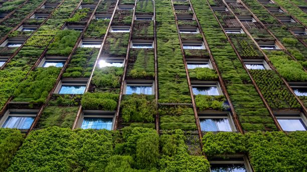 Sustainable building with a green wall