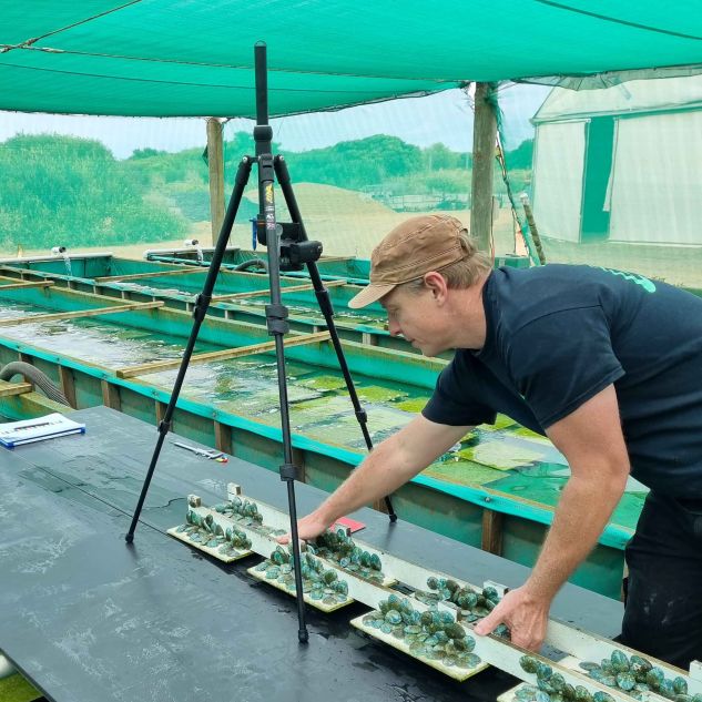 JCU researcher Kurt Schoenhoff leaning over and placing abalone under a camera for photographing