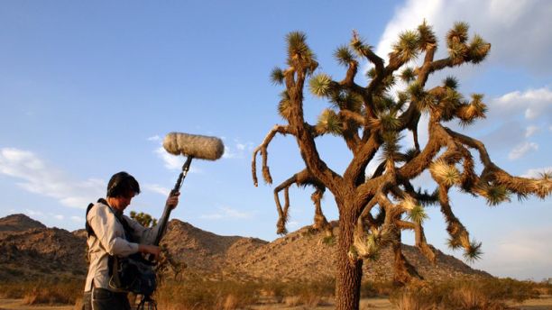JCU Alumni Michael Bromage holding up a microphone next to a tall cactus tree in a scrub and desert landscape. 
