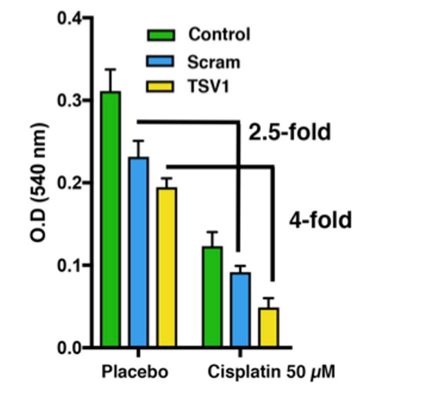 Figure 2. Reduced gene expression of target gene 9 (TSV1) increased lethality of cisplatin.